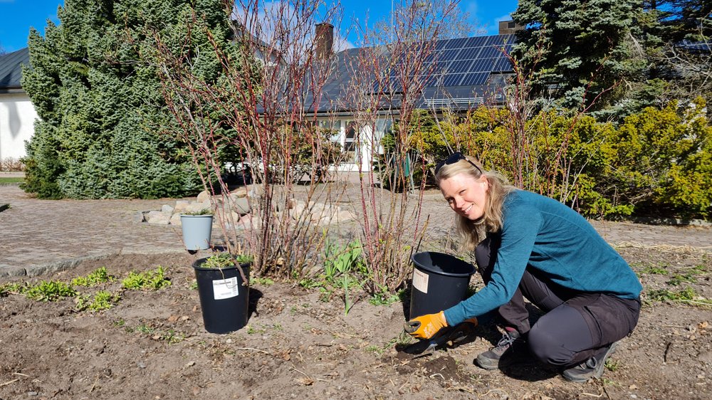 Kristin Kempe, trädgårdsmästare i Ludvika församling, i trädgården där det planeras för både egna snittblommor och grönsaker. Foto: Nikolas Berg.