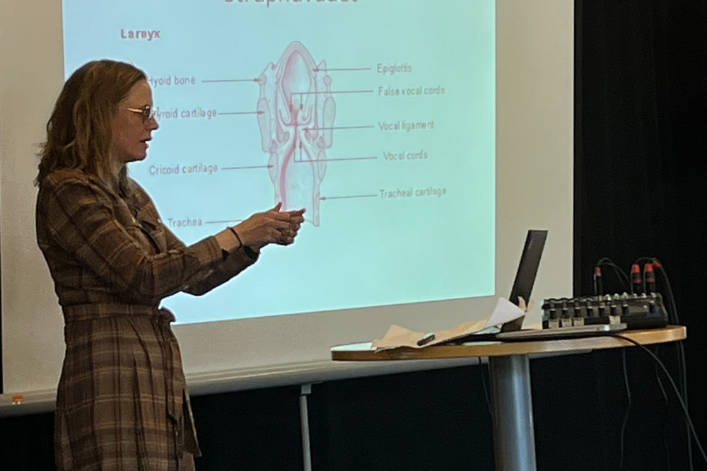 Lina Bjarnegård Carlsson