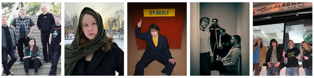 Fotokollage med bilder på Bluesrockbandet, Lily Bauer, Angelina Pavanelli,Romantikpanik, Tail Patch, Klara Goliger.